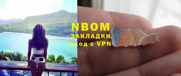 стаф Дмитриев