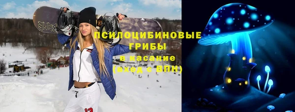 стаф Дмитриев