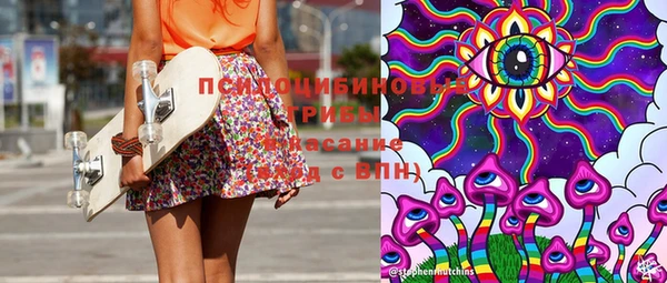 стаф Дмитриев