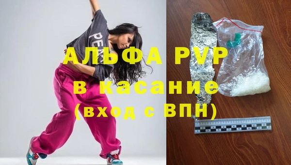 стаф Дмитриев