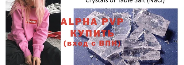 стаф Дмитриев